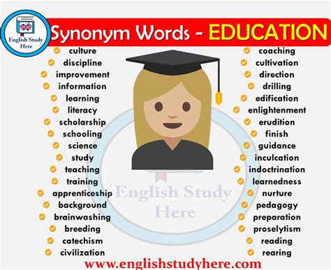 education synonym